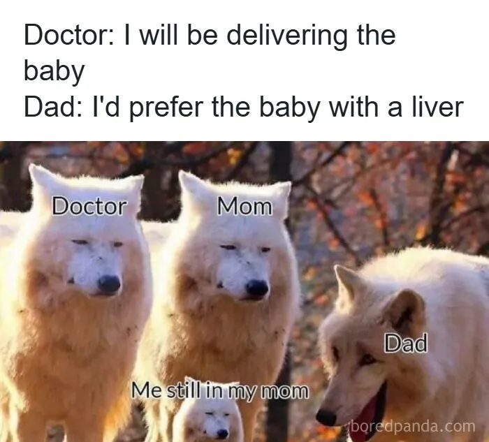 58 Funny Memes, Explained To People Who Didn't Catch The Reference