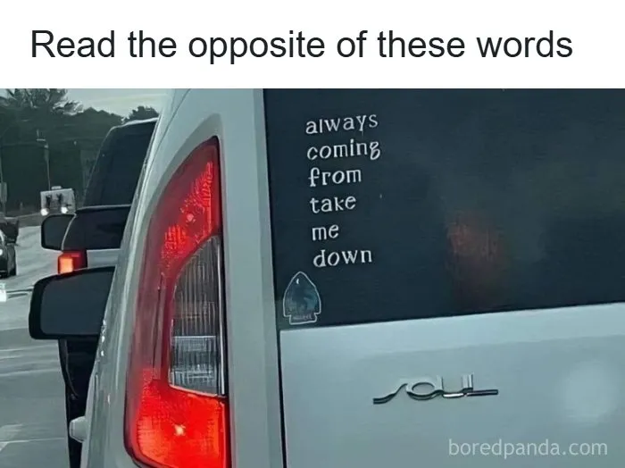 58 Funny Memes, Explained To People Who Didn't Catch The Reference