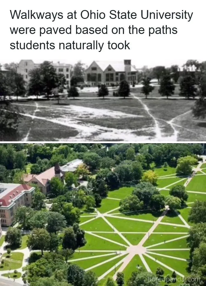 Desire Path Goat?