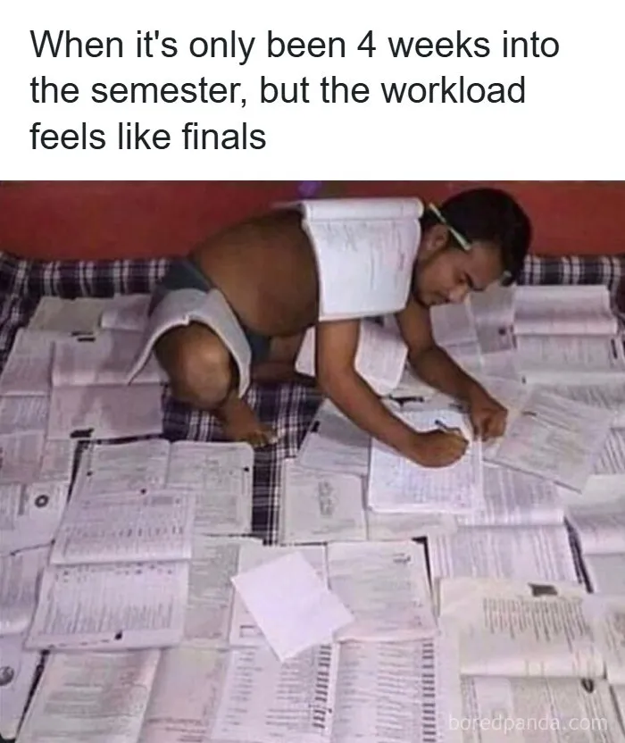 126 College Memes That Made Students Feel Seen