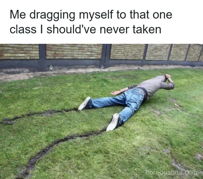 126 College Memes That Made Students Feel Seen