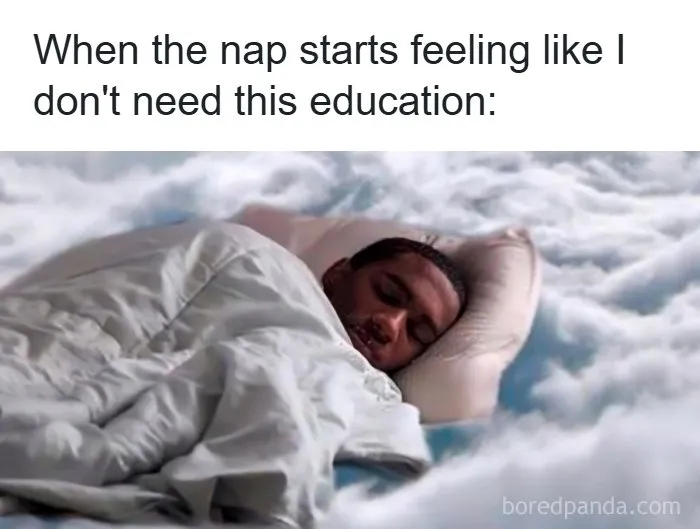 126 College Memes That Made Students Feel Seen