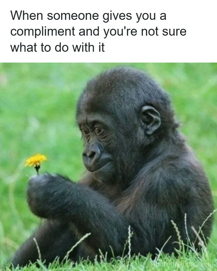 50 Hilarious Posts For People Who Use Humor As A Coping Mechanism (New Pics)