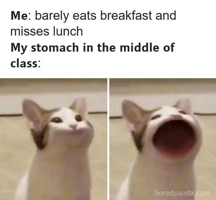 126 College Memes That Made Students Feel Seen