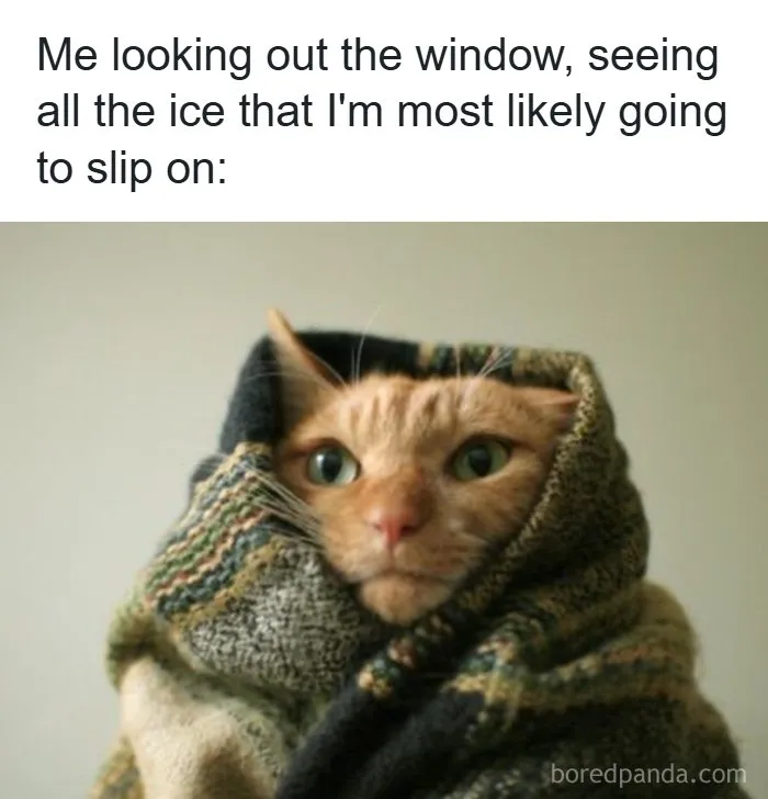 126 College Memes That Made Students Feel Seen