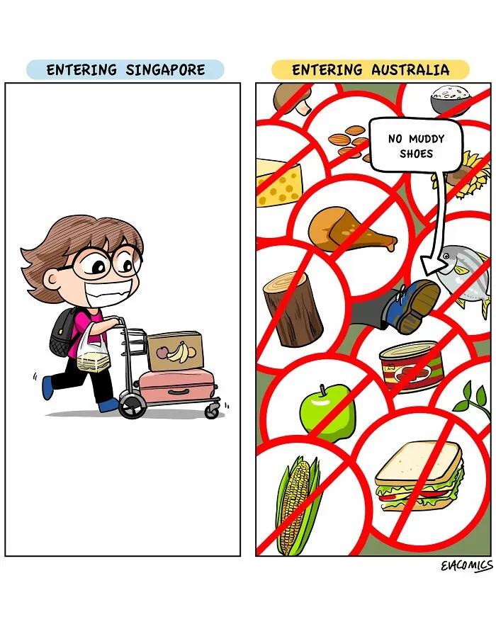 37 New Comics About Cultural Differences That Every Traveler Will Recognize