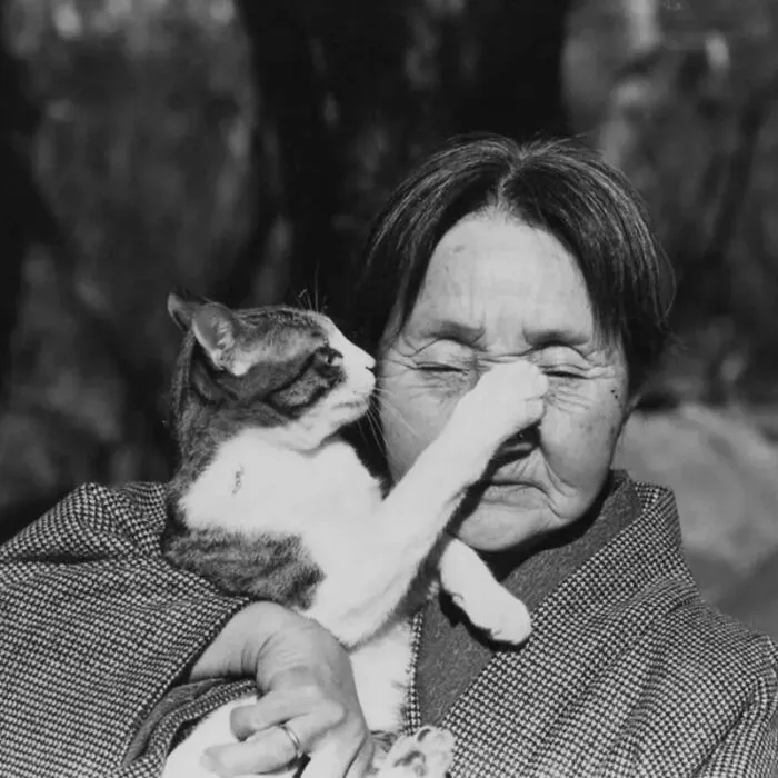 Masahisa Fukase (Japanese Photographer)