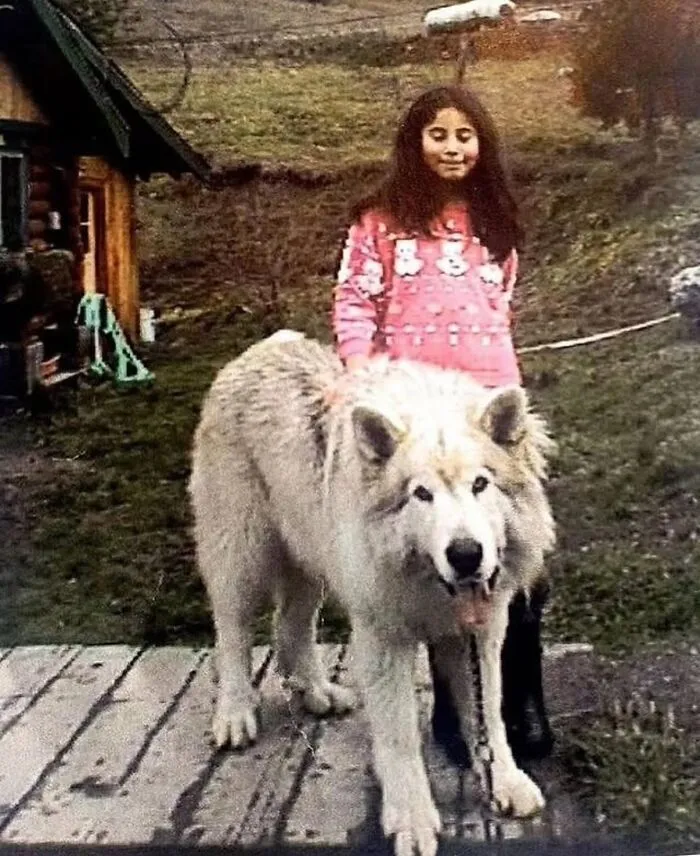 This Instagram Account Shares Fascinating Fun Facts And Real Life Stories, Here’s 20 Of Their Best Posts