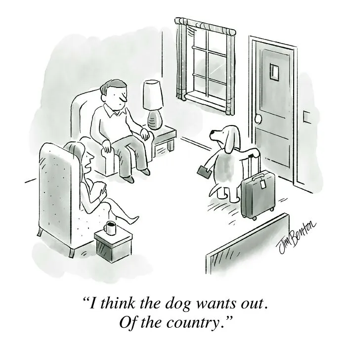 Artist Creates 28 Funny Comics Imagining Dogs In Everyday Situations