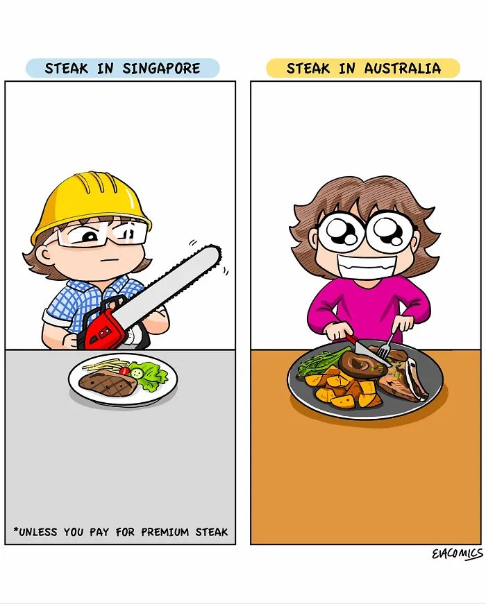 37 New Comics About Cultural Differences That Every Traveler Will Recognize
