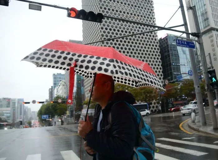 This Photographer Captures Real-Life Visual Jokes On The Street (50 Pics)