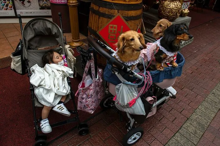 This Street Photographer Captures Raw And Human Moments In Everyday Life (40 Pics)