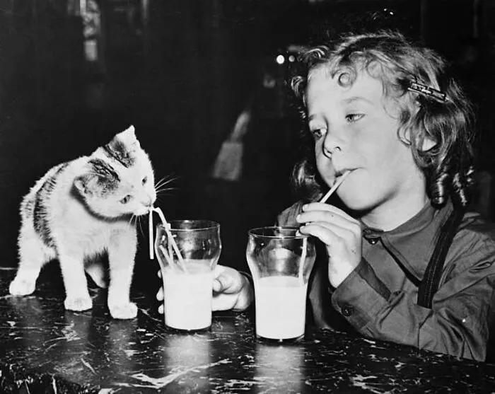 From Movie Stars To Unknown Cat Owners, Here Are 44 Vintage Photos Of Cats (New Pics)