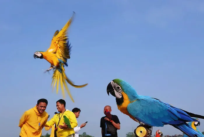 You Might Have To Look Twice At These 40 Street Photos