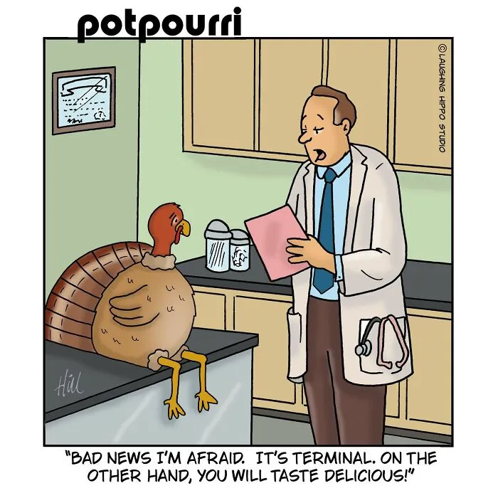 Cartoonist’s darkly funny doctor visit comic showing a turkey hearing terminal diagnosis in a clinical setting.