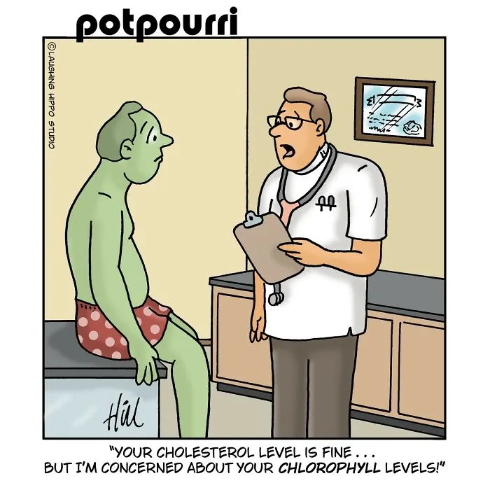 30 Comics By Doug Hill That Show Why Medical Appointments Are So Uncomfortable