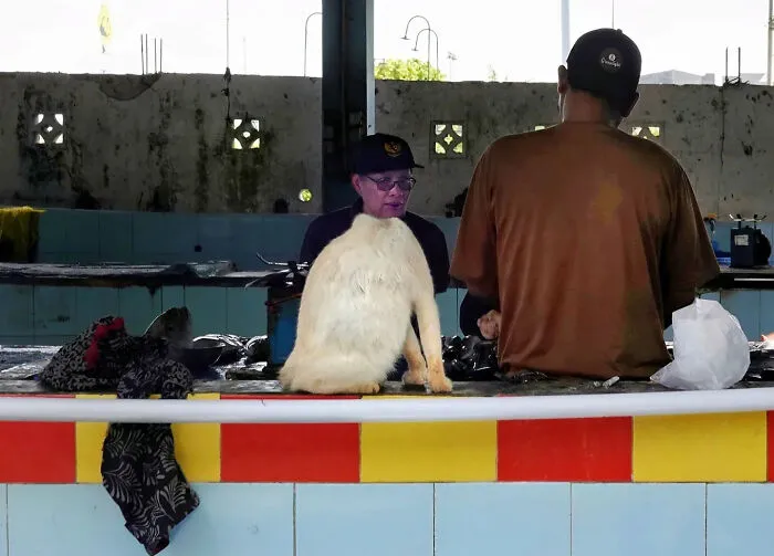 You Might Have To Look Twice At These 40 Street Photos