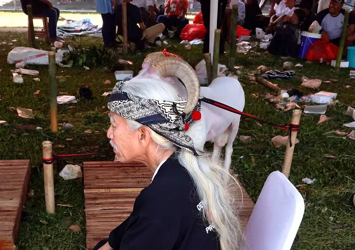 You Might Have To Look Twice At These 40 Street Photos
