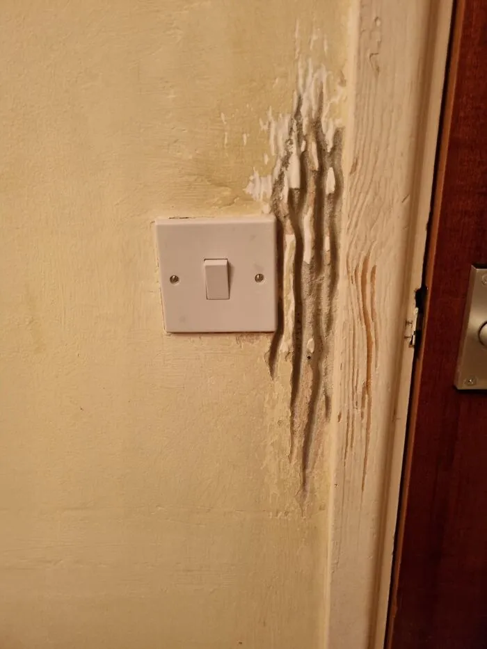 My Mums Dog Can Open The Door And This Is Where Her Paw Has Worn Down The Wall Over The Years