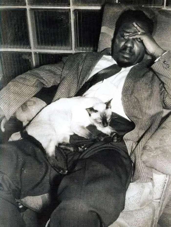 Thelonious Monk (American Jazz Pianist)