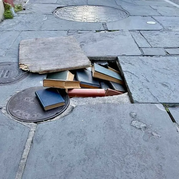 Books hidden inside a cracked street pavement, showcasing one of the weirdest things found in the streets.