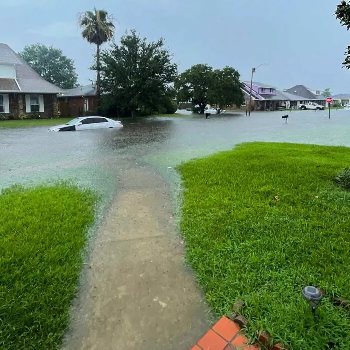 Flooded suburban street with partially submerged cars and mailboxes, an unusual find in street scenes.