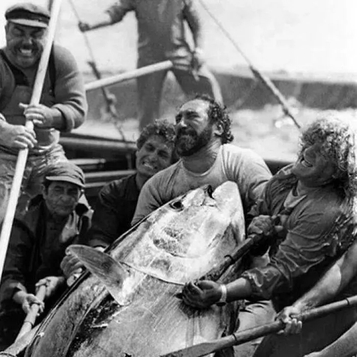 Fishermen Land A Big Tuna, Sicily, Italy, Date Unknown
