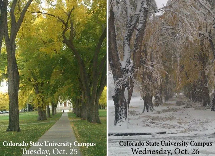 Before: Fort Collins, Co On October 25th 2011 After: Fort Collins, Co On October 26th 2011