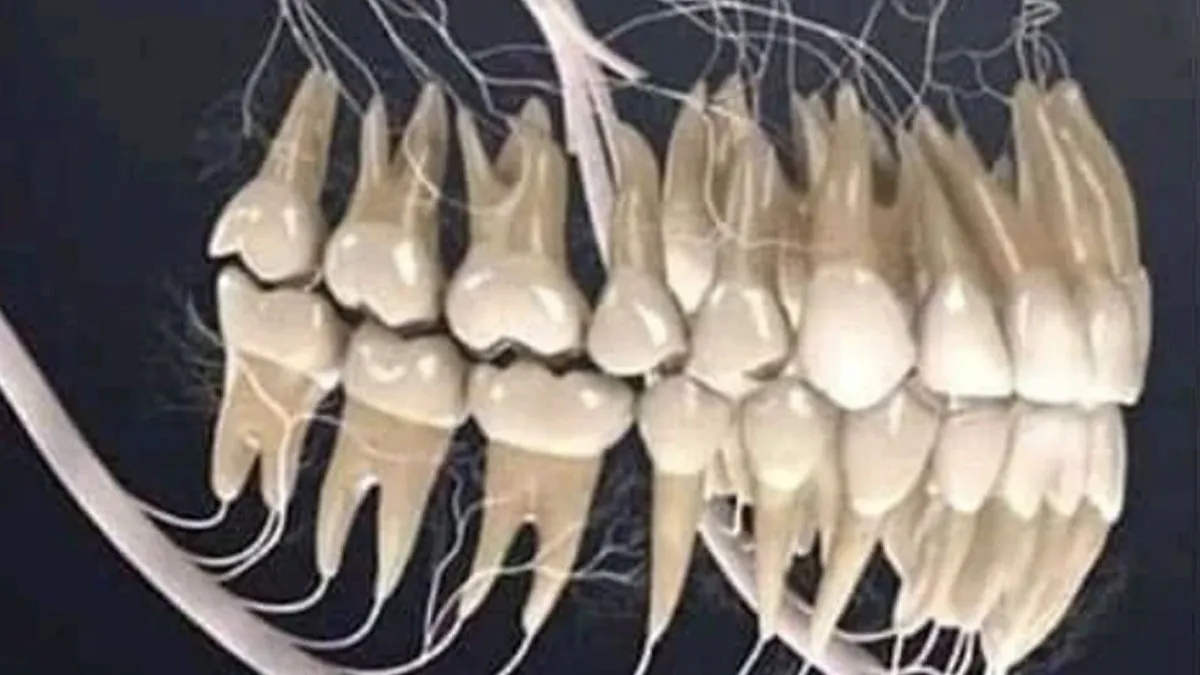 25 “Interesting But Creepy” Photos You Might Not Be Able To Look Away From (New Pics)