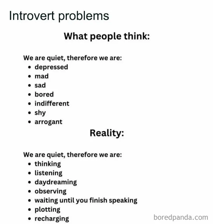 50 Funny Memes That Introverts Might Recognize Themselves In