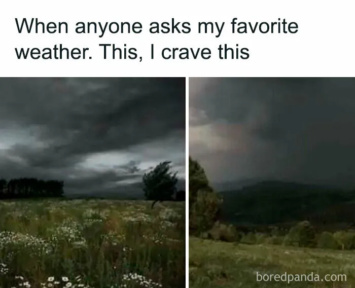 50 Funny Memes That Introverts Might Recognize Themselves In