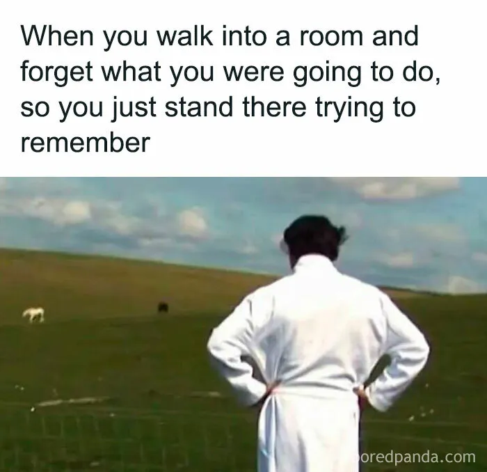 50 Funny Memes That Introverts Might Recognize Themselves In