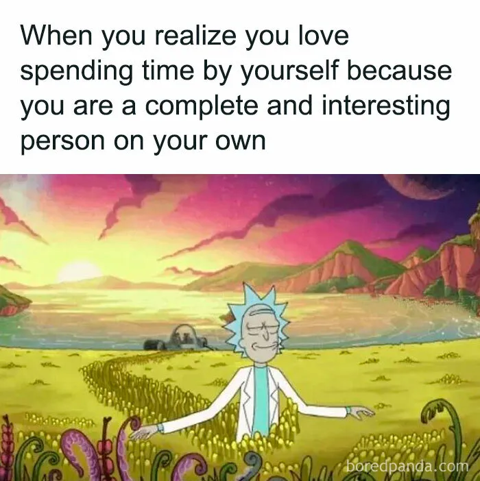 50 Funny Memes That Introverts Might Recognize Themselves In