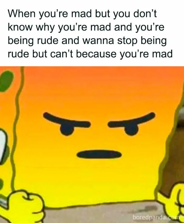50 Funny Memes That Introverts Might Recognize Themselves In