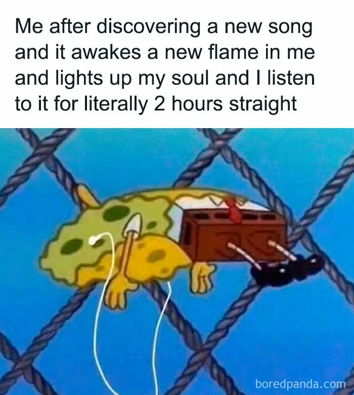 50 Funny Memes That Introverts Might Recognize Themselves In