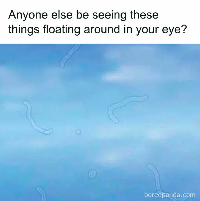 50 Funny Memes That Introverts Might Recognize Themselves In