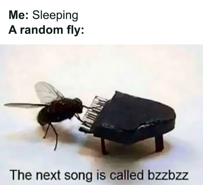 50 Funny Memes That Introverts Might Recognize Themselves In