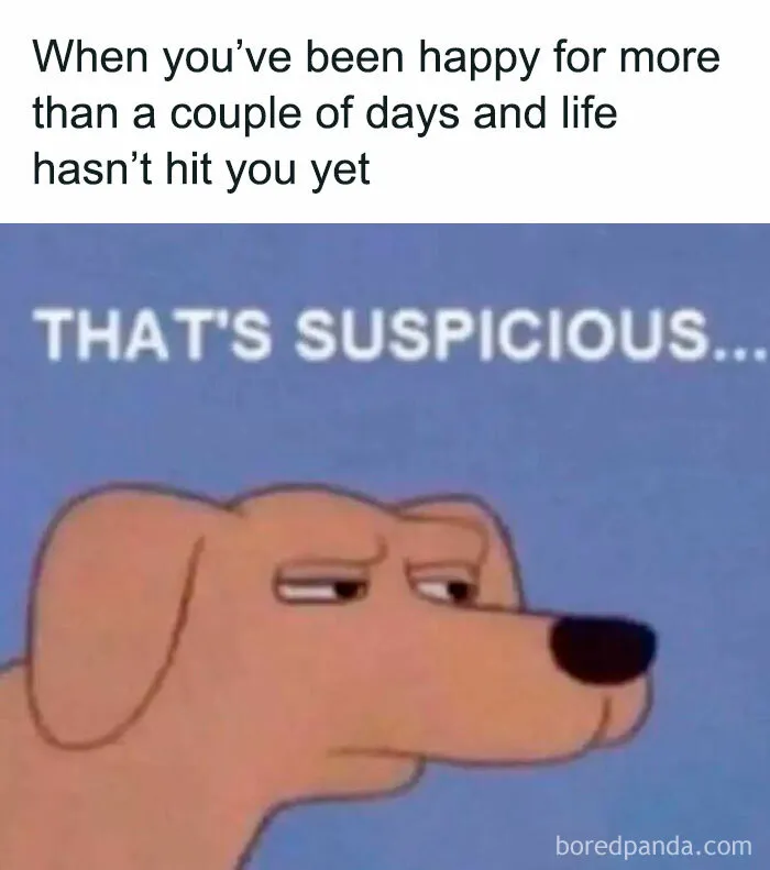 50 Funny Memes That Introverts Might Recognize Themselves In
