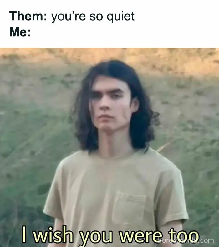 50 Funny Memes That Introverts Might Recognize Themselves In