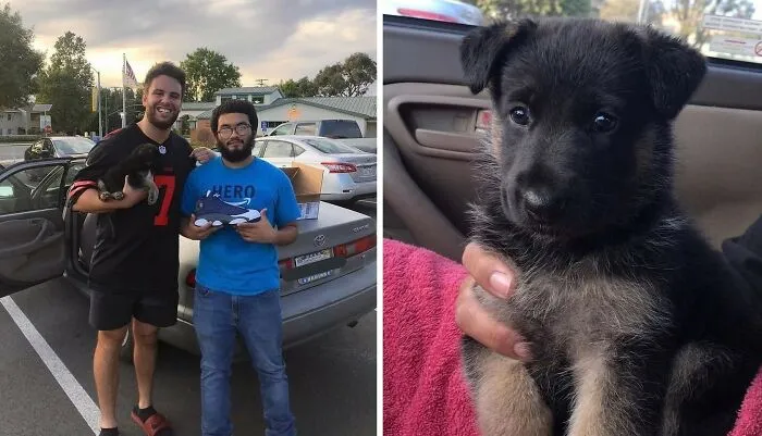 This Instagram Account Shares Fascinating Fun Facts And Real Life Stories, Here’s 20 Of Their Best Posts