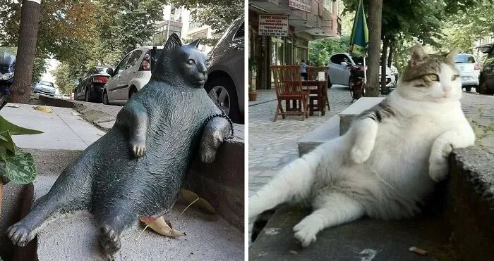 This Instagram Account Shares Fascinating Fun Facts And Real Life Stories, Here’s 20 Of Their Best Posts