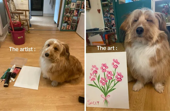 This Facebook Page Shares The Most Ridiculously Dog Photos To Help You De-Stress (40 Pics)