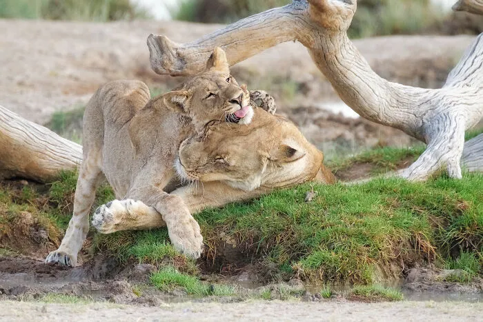 Mom, Stop!
