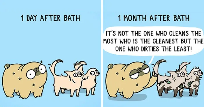 Artist Draws Her Life With Mochi The Pug, And It’s Funny And Heartwarming (23 New Pics)
