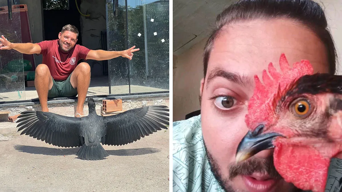 This Wild Vulture Bonded With A Human So Closely, Viewers Joke He’s “A Dog With Wings” (23 Pics)