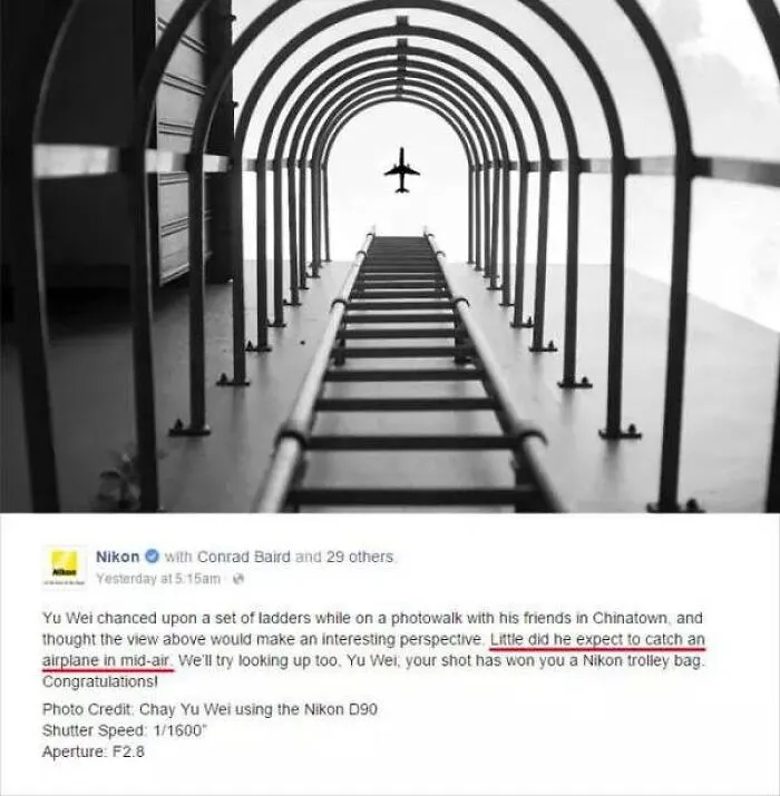 47 Viral Images People Didn’t Really Question When They Definitely Should Have