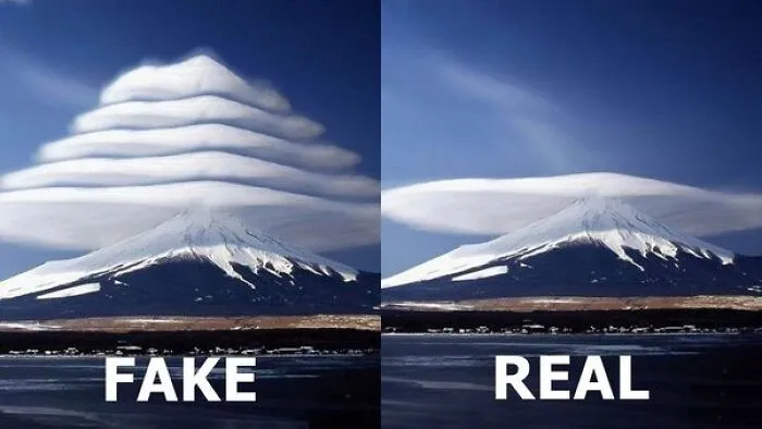 47 Viral Images People Didn’t Really Question When They Definitely Should Have