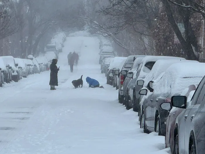 Something Beautiful About Baltimoreans Using The Streets As People Instead Of Drivers, Even Just For A Day