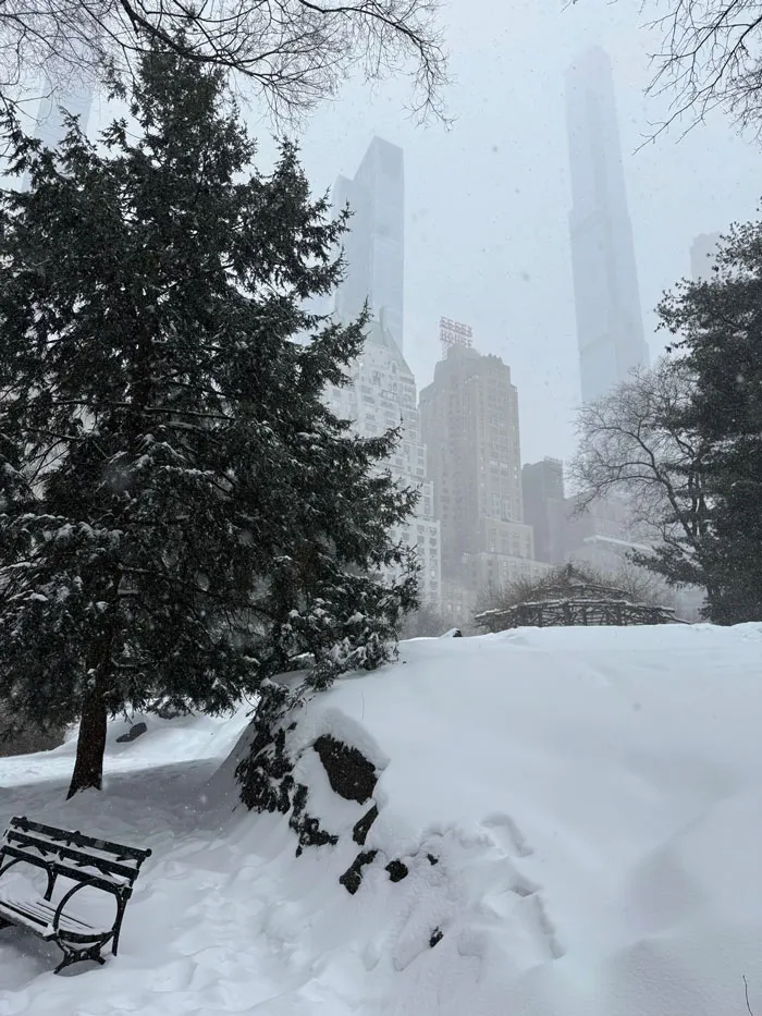Snowstorm hitting U.S. city park with heavy snow covering trees, bench, and ground, skyscrapers visible in the background.