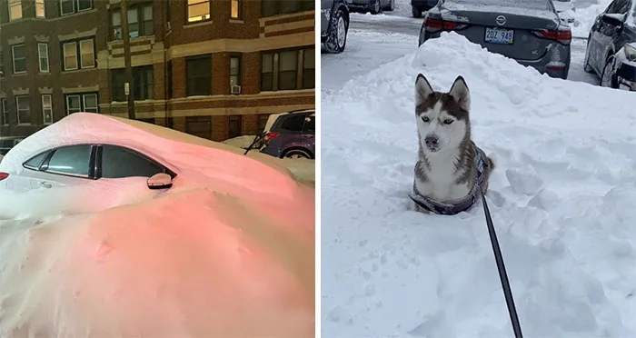 “You're Still Coming To Work, Right?” 94 Photos Showing The Aftermath Of A Massive Winter Storm In The US